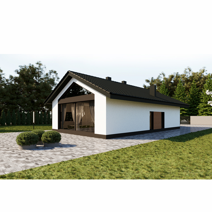 P - House